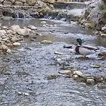 Vikendica, Bazen, Sedrvan, Rafting Na Uni, Quad Bihać