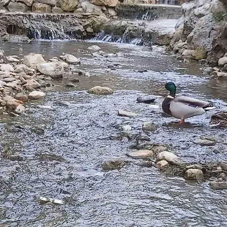 Vikendica, Bazen, Sedrvan, Rafting Na Uni, Quad Bihac