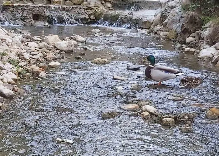 Vikendica, Bazen, Sedrvan, Rafting Na Uni, Quad Bihać